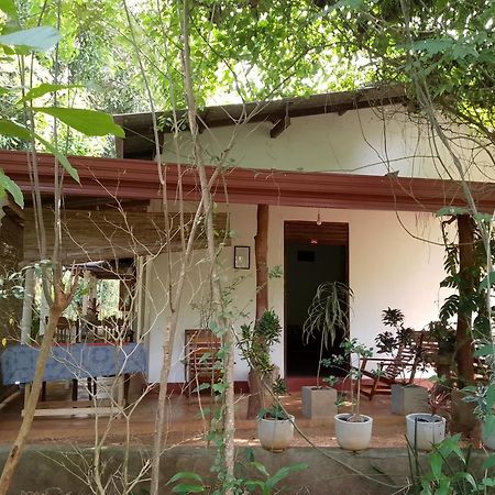 Thilina Homestay Sigiriya Habitación foto